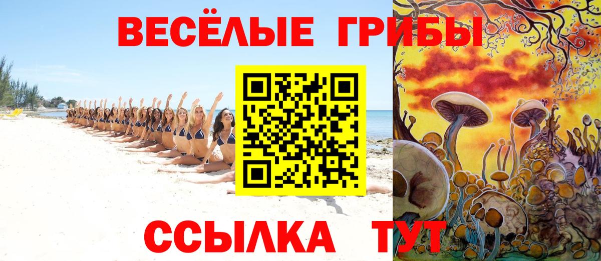 Белая Калитва  Галлюциногенные грибы прущие грибы  Псилоцибиновые грибы ЛСД  Вход с VPN 